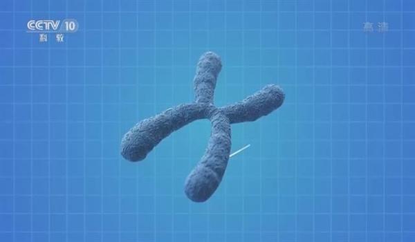 三角洲透视科技怎么样的(三角洲透视科技是合法的吗?) 三角洲透视科技怎么样的(三角洲透视科技是合法的吗?)